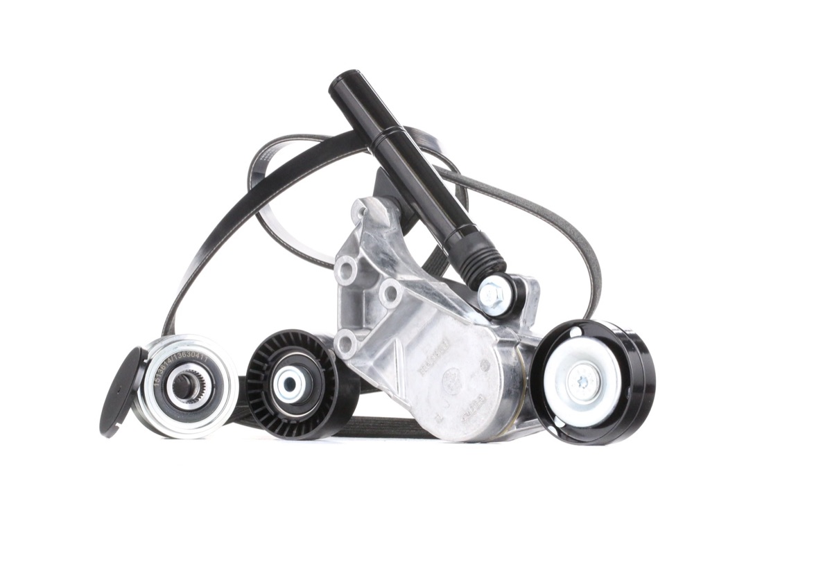 Ridex 542R0054 V-Ribbed Belt Set