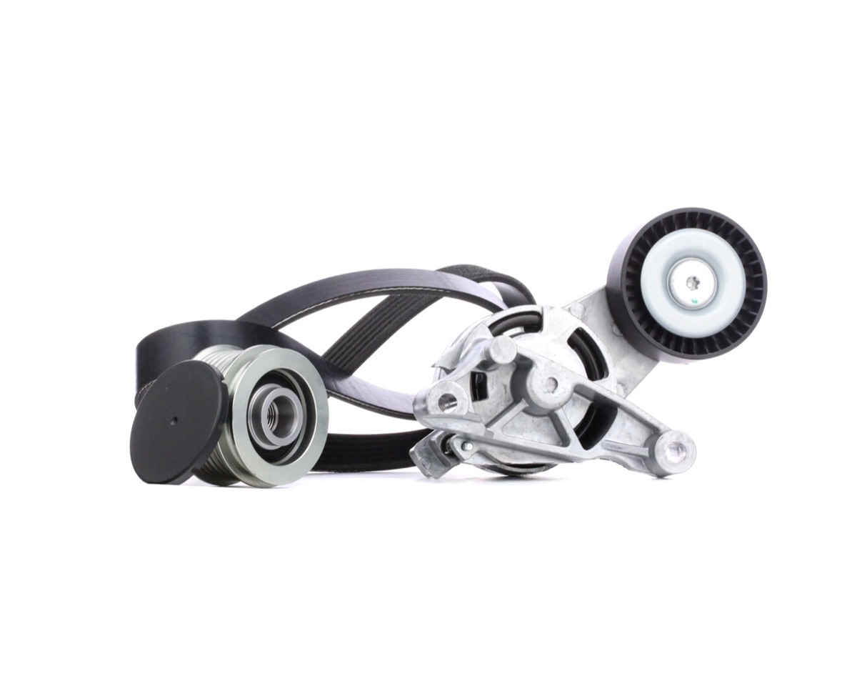 Ridex 542R0063 V-Ribbed Belt Set