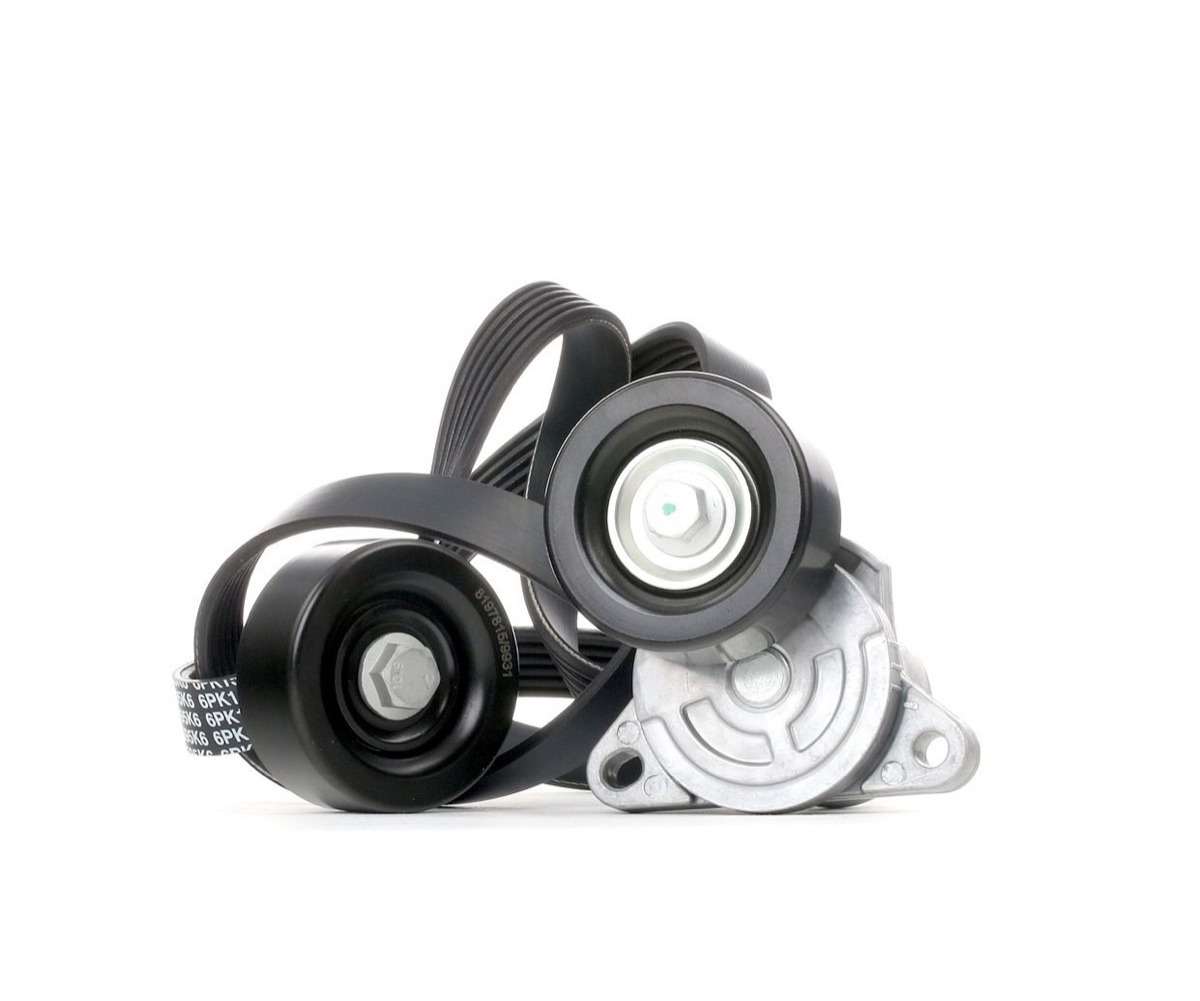 Ridex 542R0067 V-Ribbed Belt Set