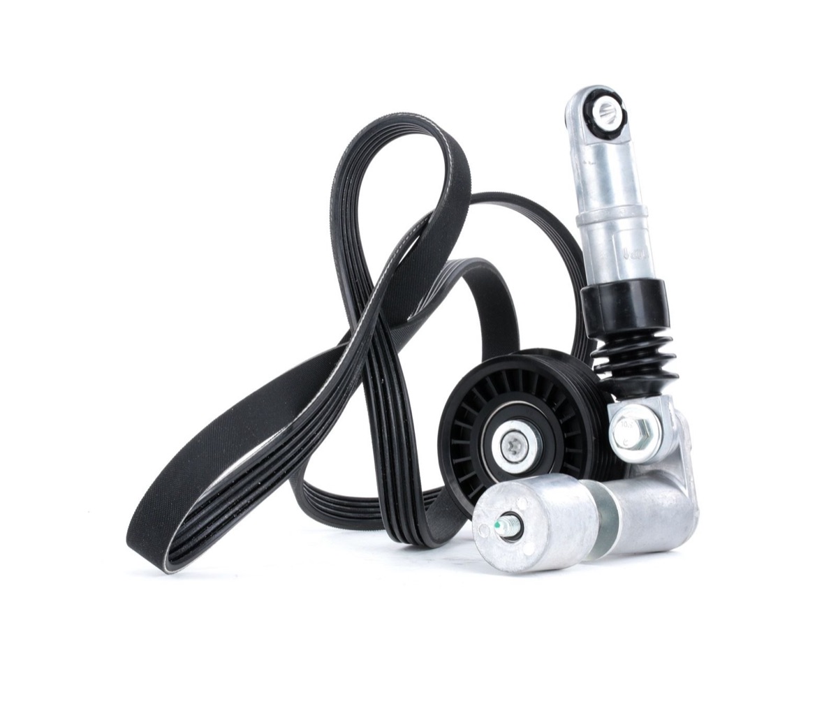 Ridex 542R0069 V-Ribbed Belt Set