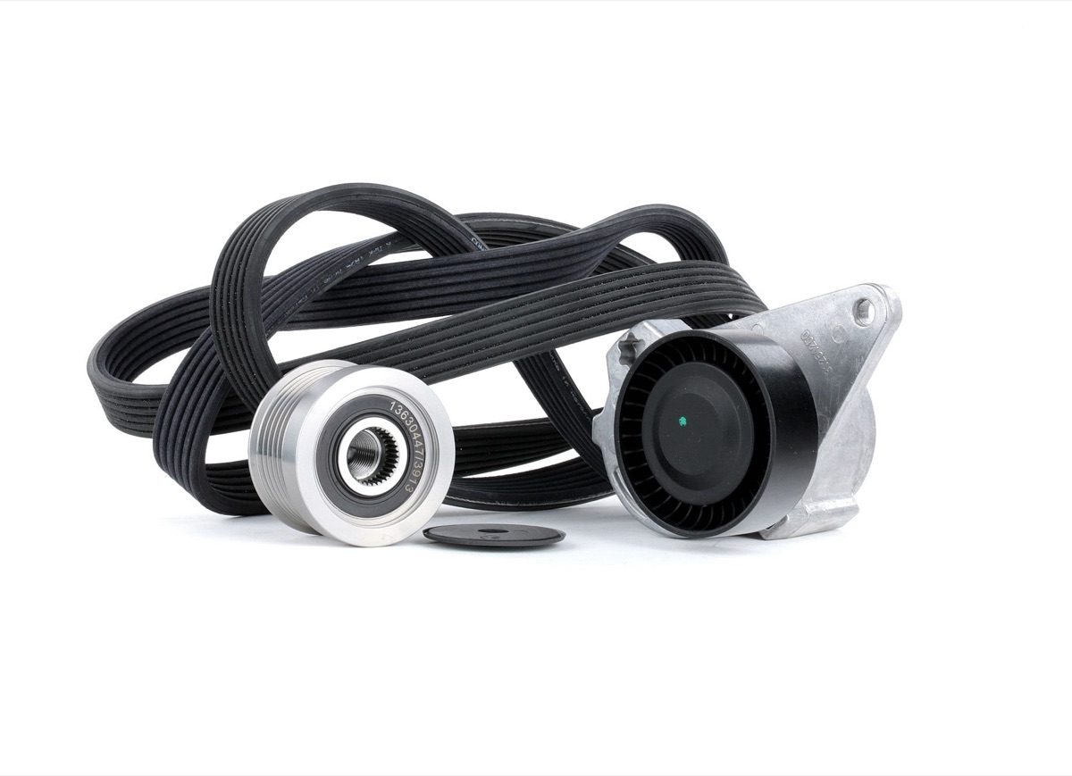 Ridex 542R0096 V-Ribbed Belt Set