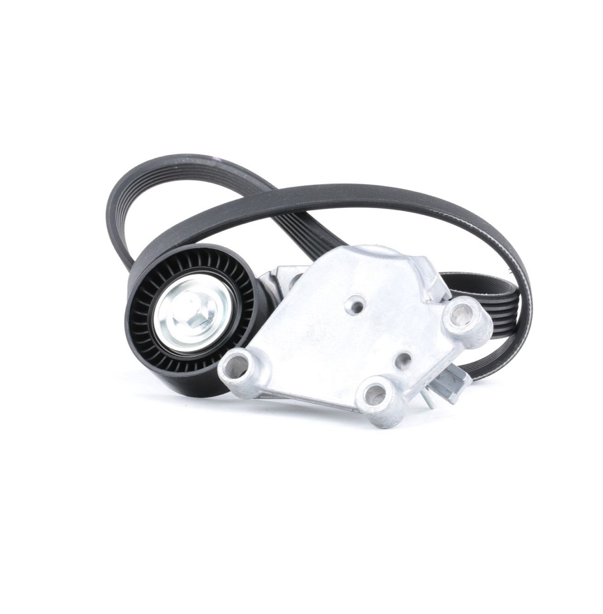 Ridex 542R0114 V-Ribbed Belt Set