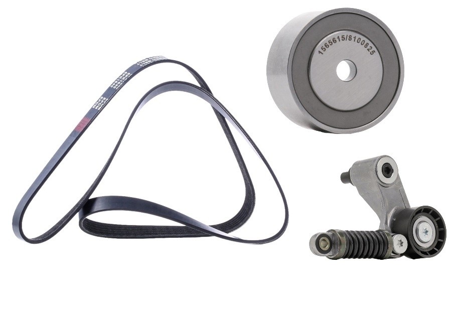 Ridex 542R0124 V-Ribbed Belt Set