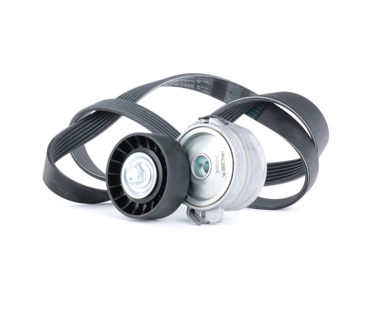 Ridex 542R0150 V-Ribbed Belt Set