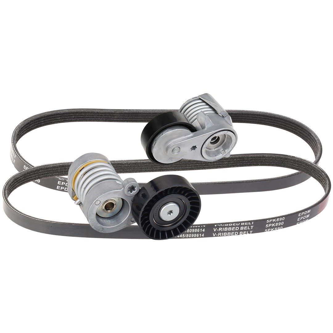 Ridex 542R0164 V-Ribbed Belt Set