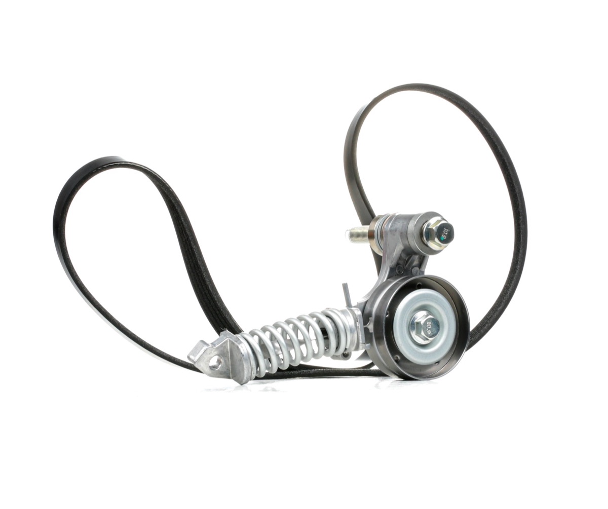 Ridex 542R0173 V-Ribbed Belt Set