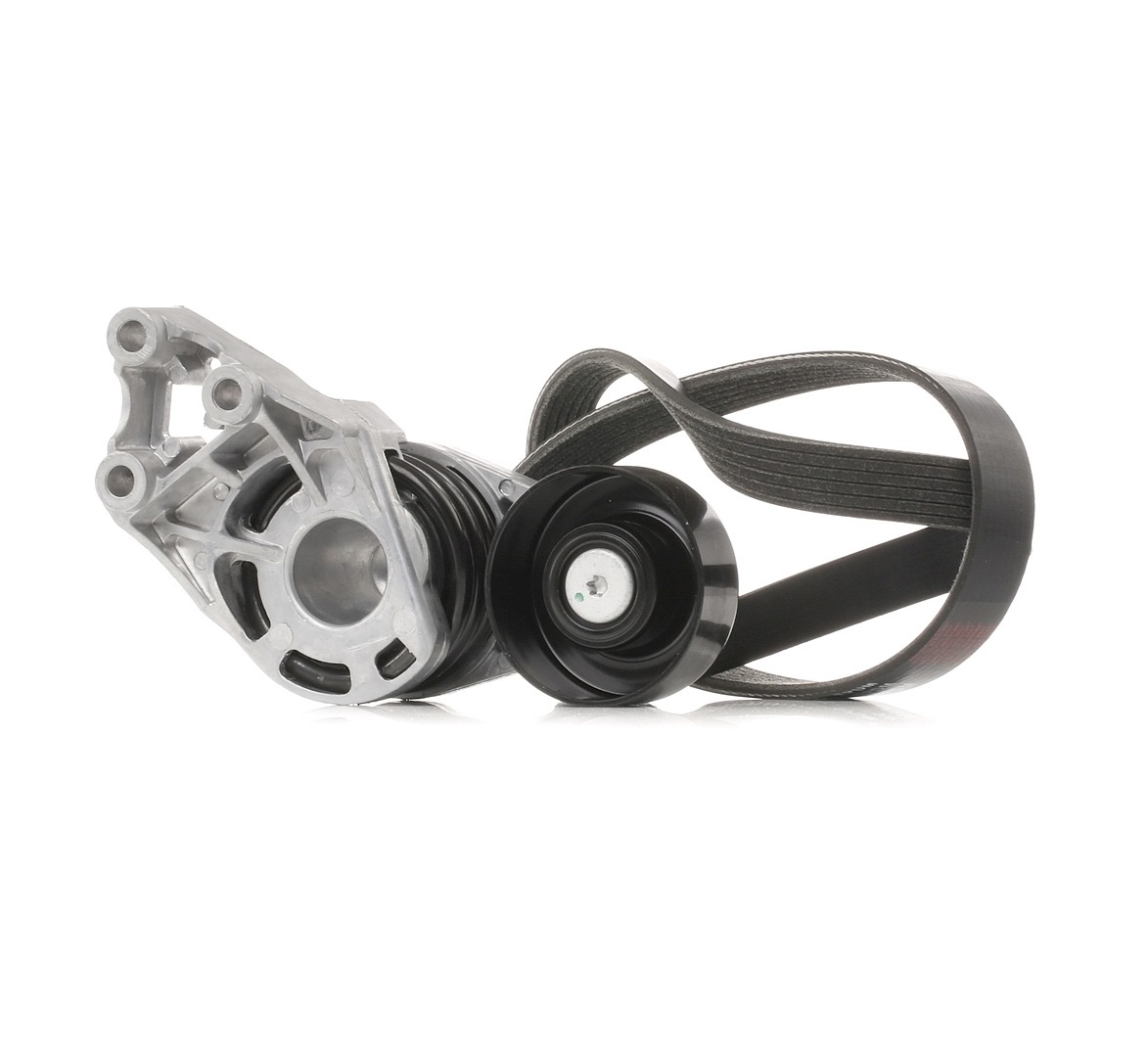 Ridex 542R0195 V-Ribbed Belt Set