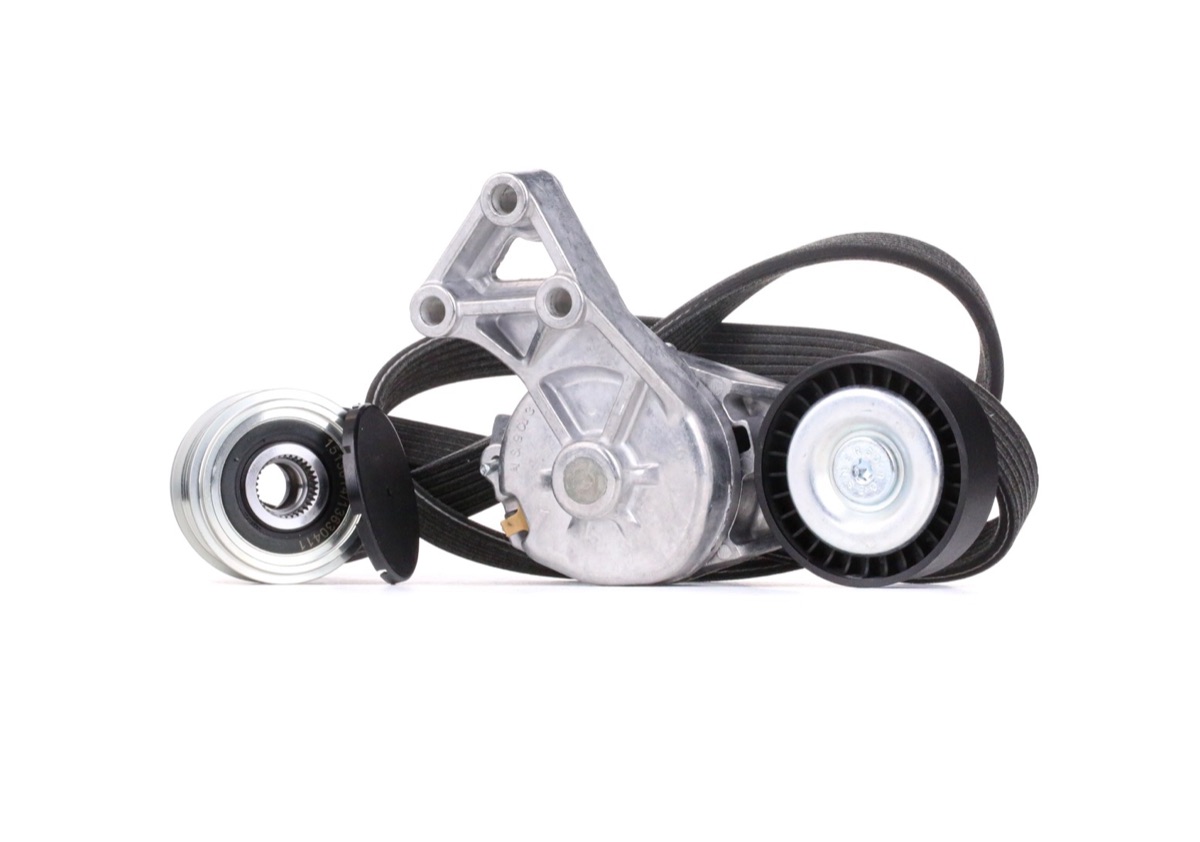 Ridex 542R0234 V-Ribbed Belt Set