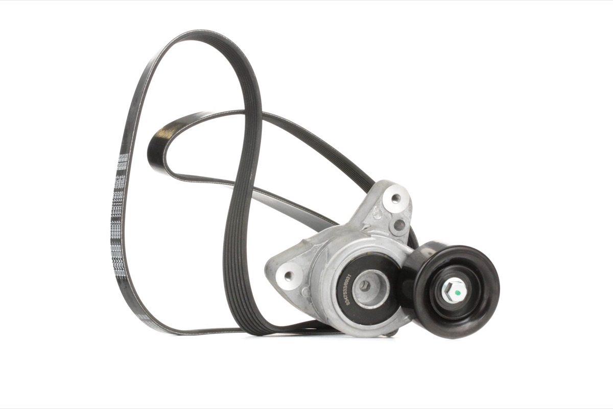 Ridex 542R0239 V-Ribbed Belt Set