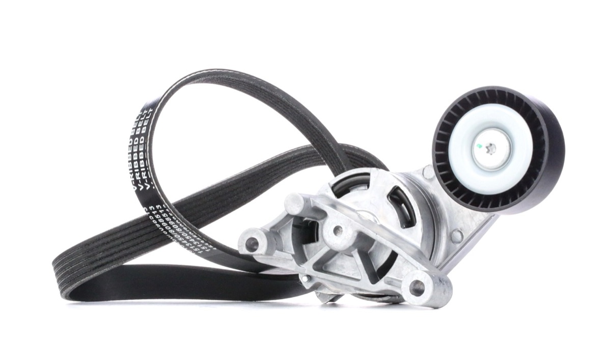 Ridex 542R0256 V-Ribbed Belt Set