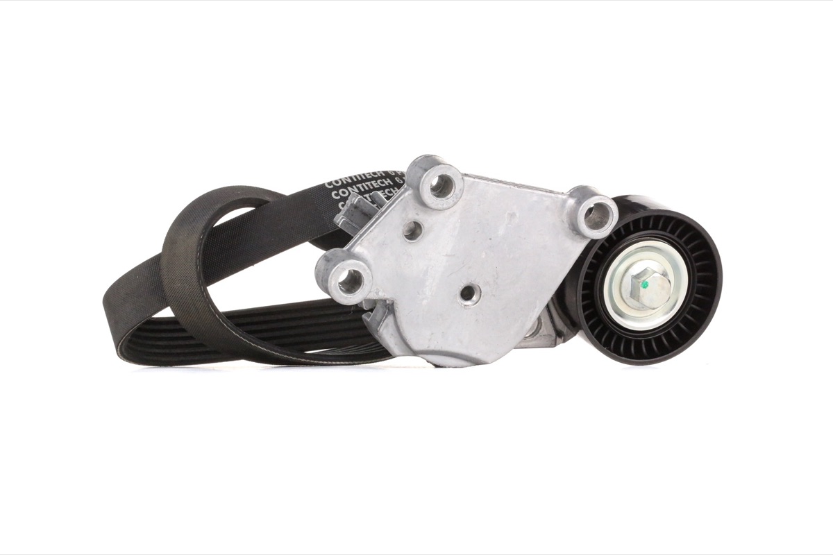 Ridex 542R0261 V-Ribbed Belt Set