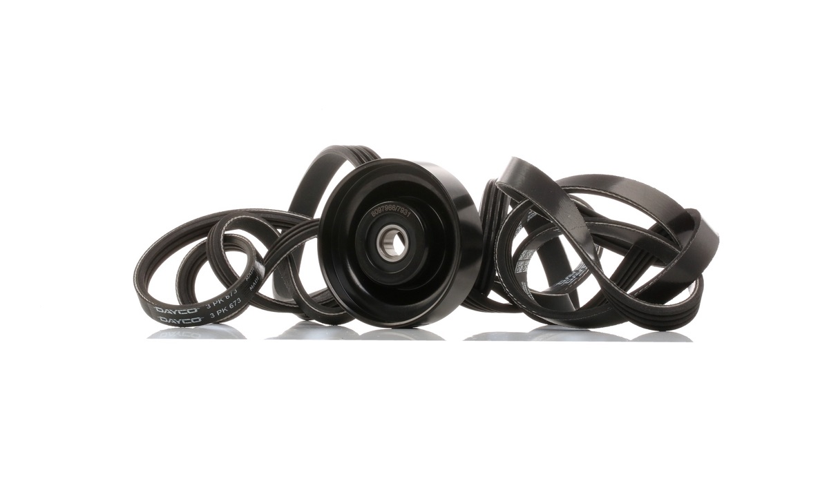Ridex 542R0263 V-Ribbed Belt Set