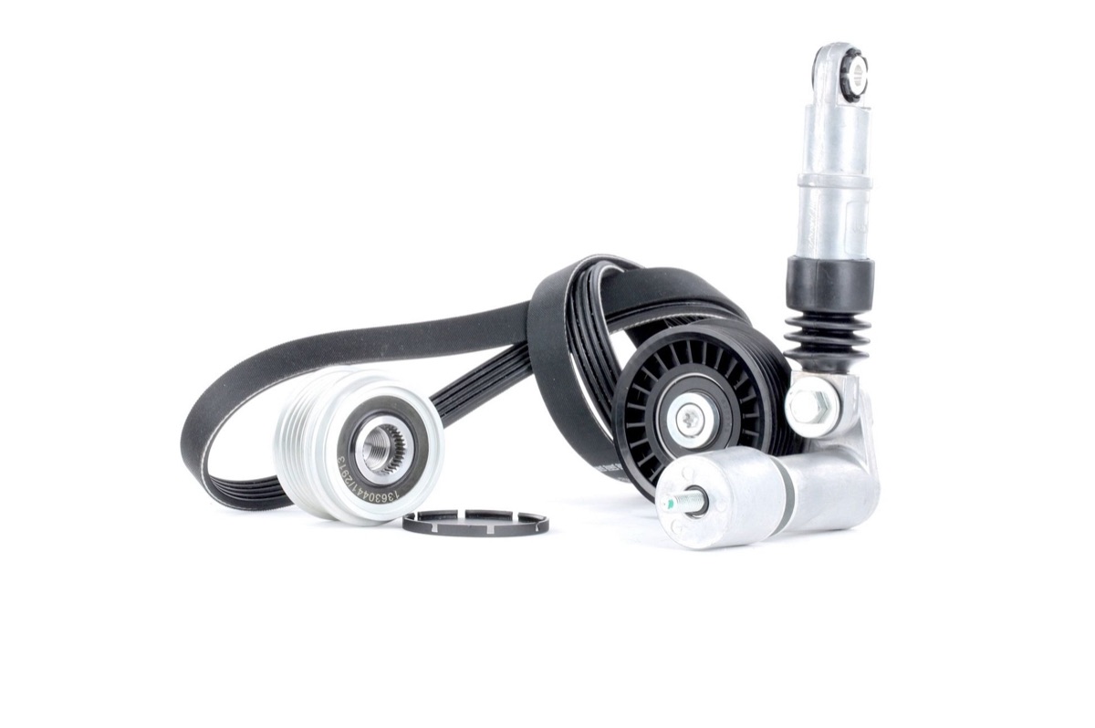 Ridex 542R0271 V-Ribbed Belt Set