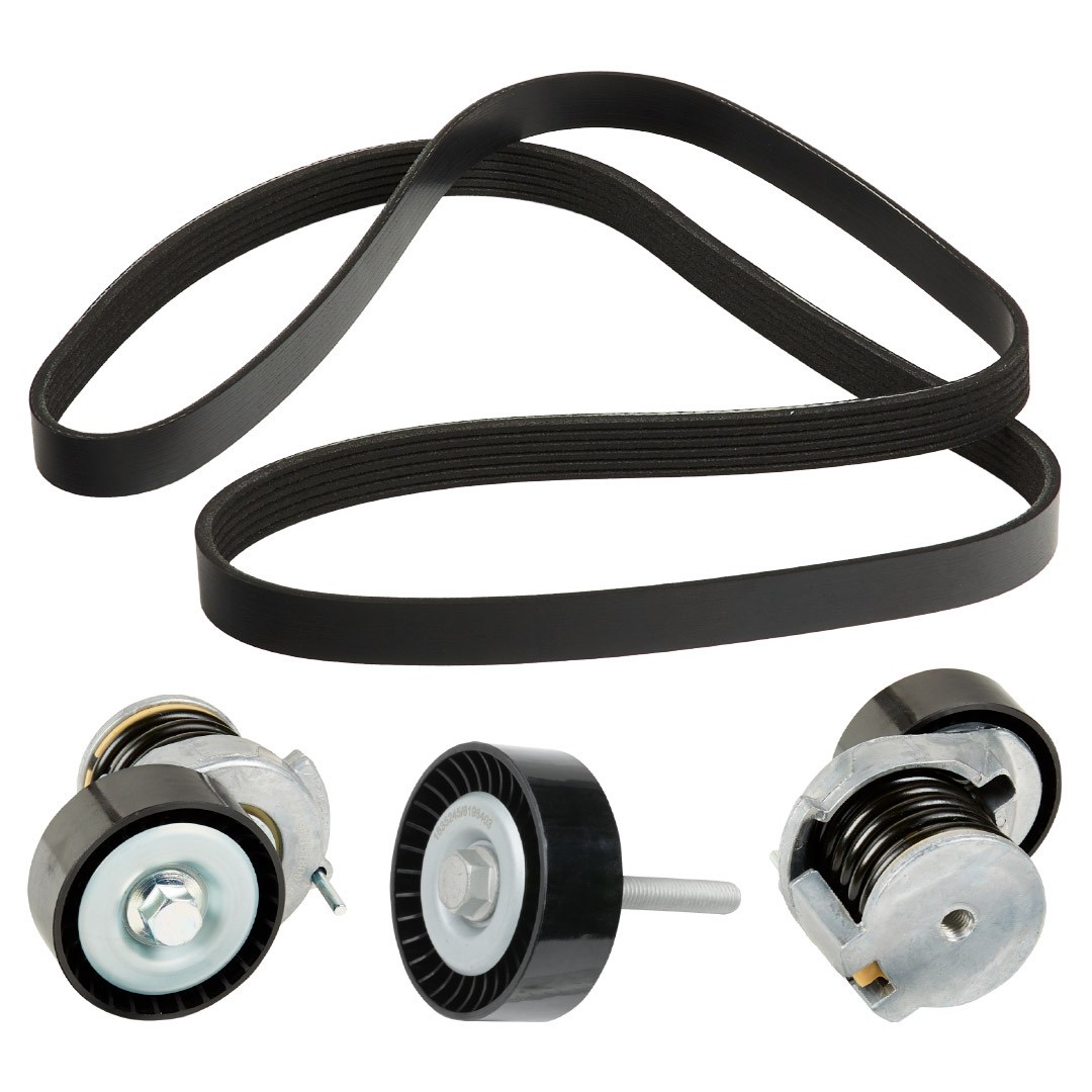 Ridex 542R0281 V-Ribbed Belt Set
