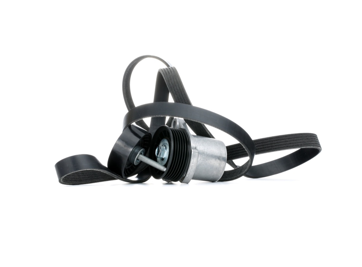 Ridex 542R0286 V-Ribbed Belt Set