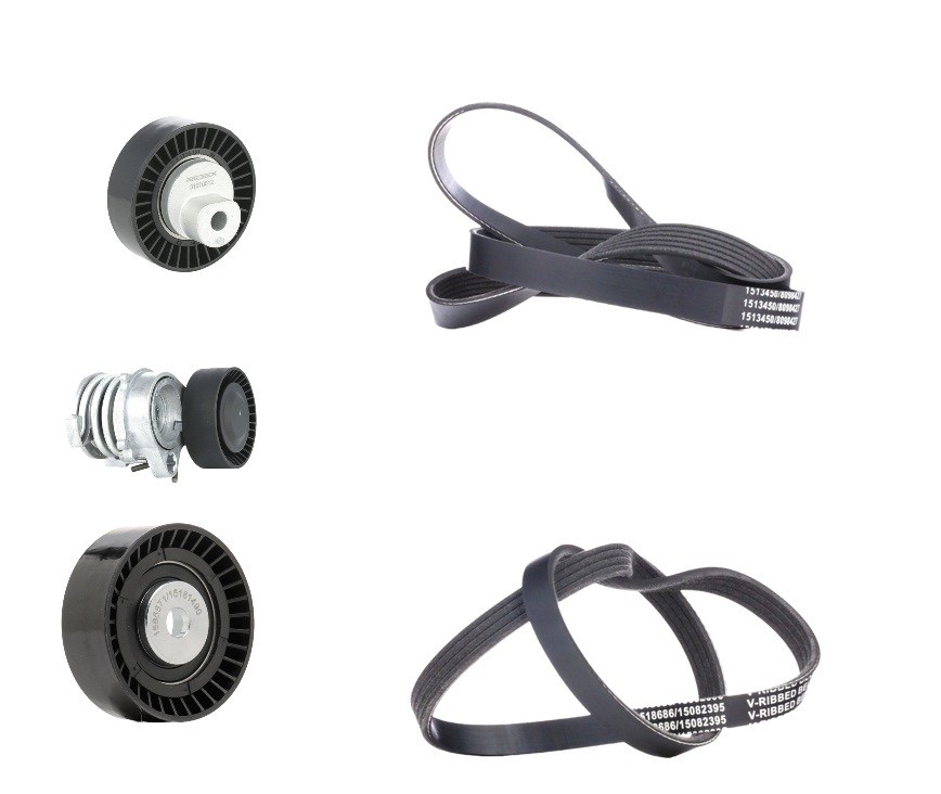 Ridex 542R0349 V-Ribbed Belt Set