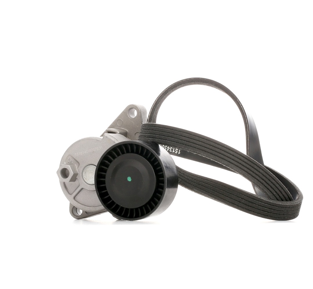 Ridex 542R0357 V-Ribbed Belt Set