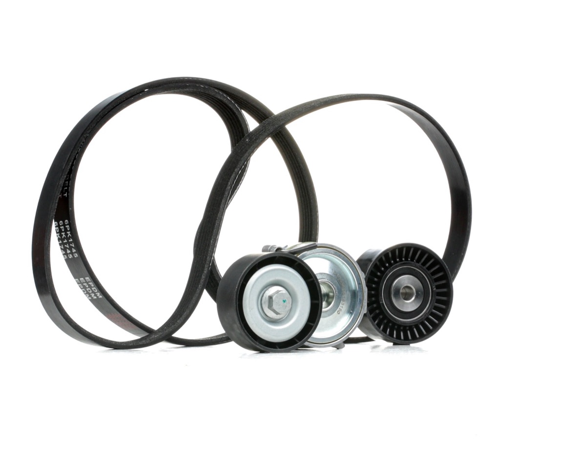 Ridex 542R0377 V-Ribbed Belt Set