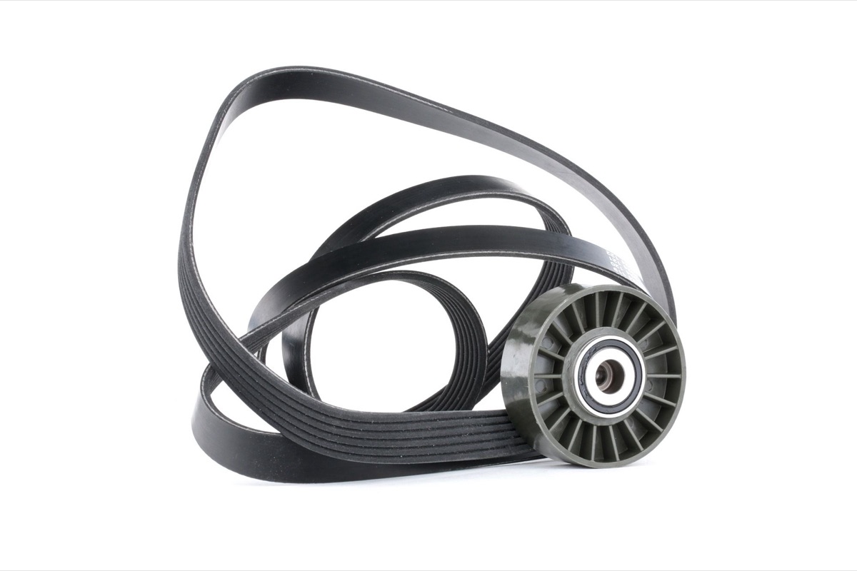 Ridex 542R0379 V-Ribbed Belt Set