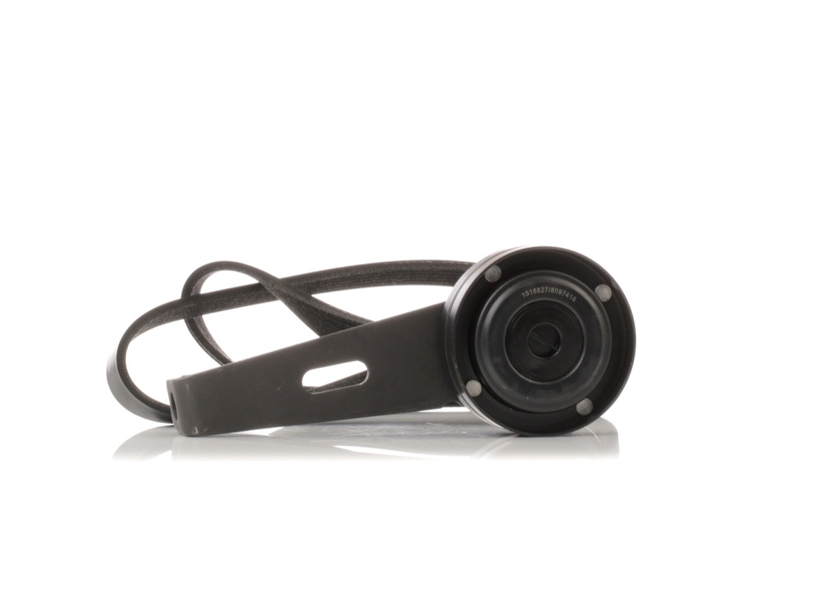 Ridex 542R0381 V-Ribbed Belt Set