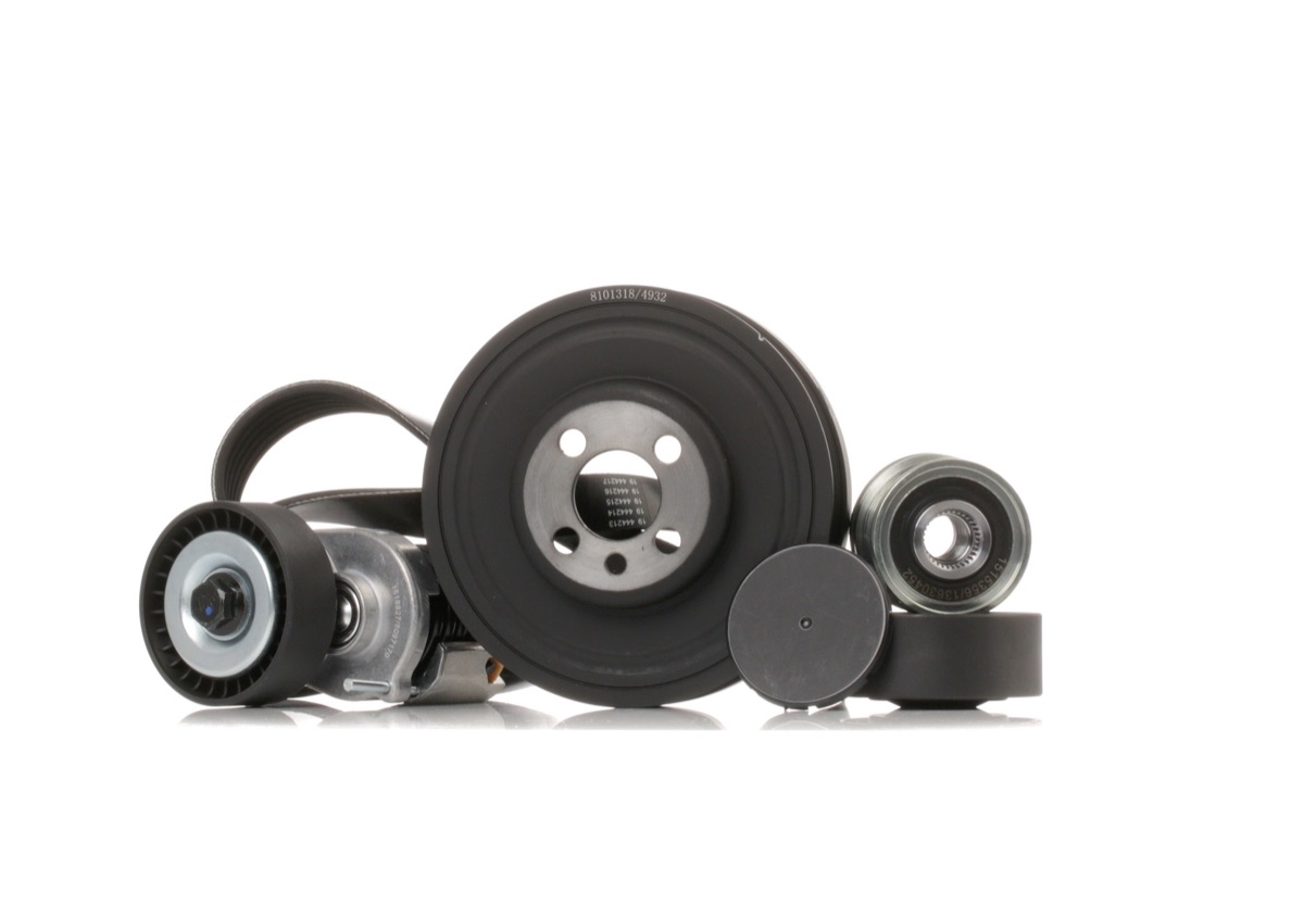 Ridex 542R0403 V-Ribbed Belt Set