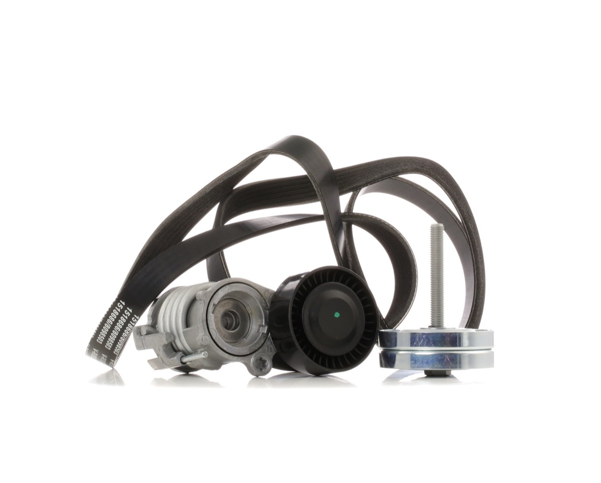 Ridex 542R0478 V-Ribbed Belt Set