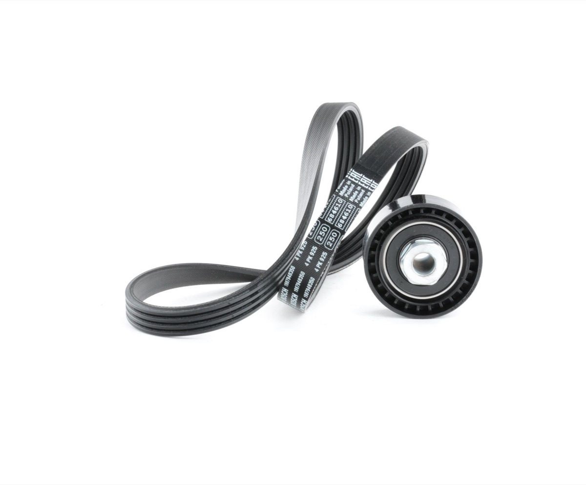 Ridex 542R0497 V-Ribbed Belt Set