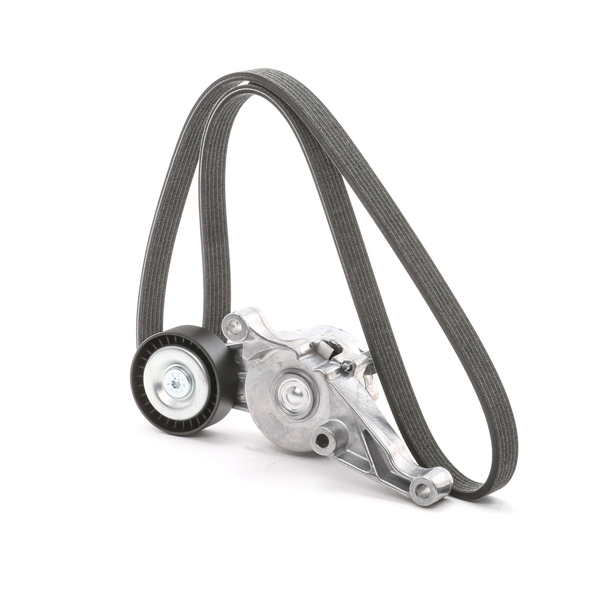 Ridex 542R0499 V-Ribbed Belt Set