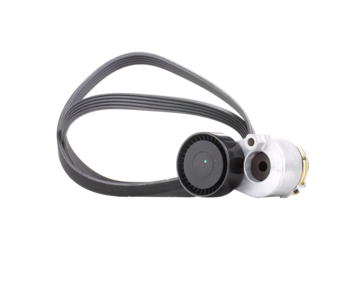 Ridex 542R0509 V-Ribbed Belt Set
