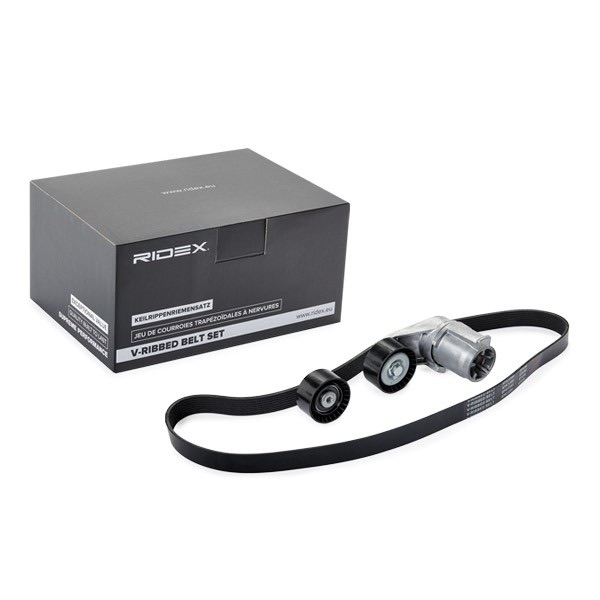 Ridex 542R0556 V-Ribbed Belt Set