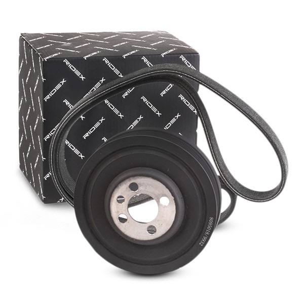 Ridex 542R0648 V-Ribbed Belt Set