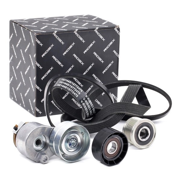 Ridex 542R0732 V-Ribbed Belt Set