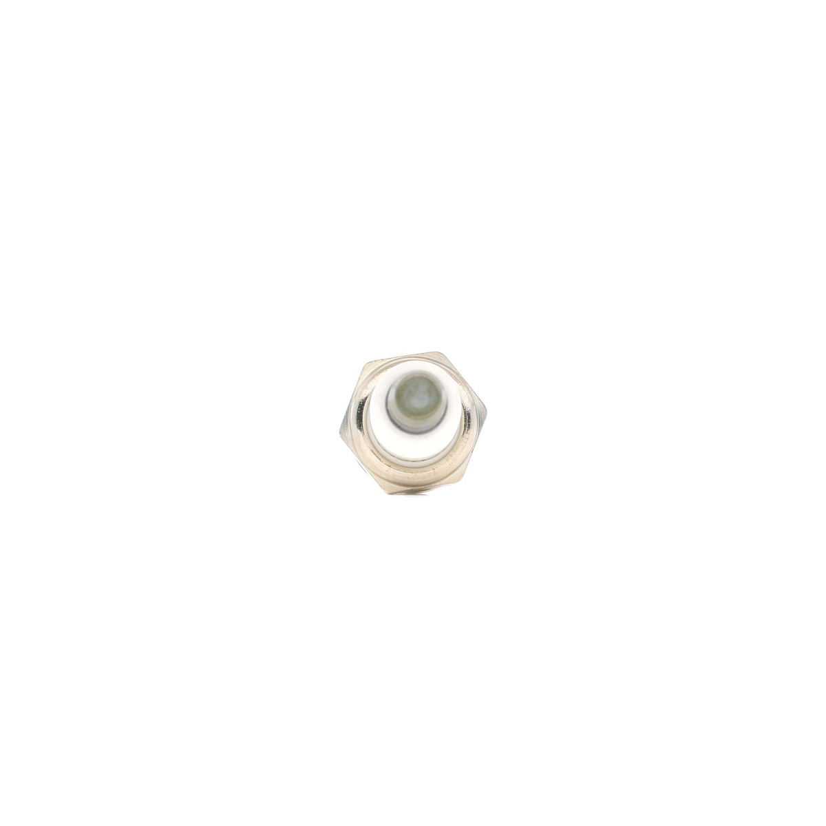 Ridex 686S0046 Spark Plug