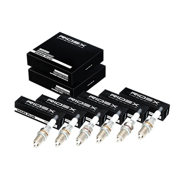 Ridex 686S0066 Spark Plug