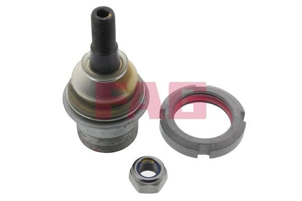 FAG 825 0079 10 Ball Joint