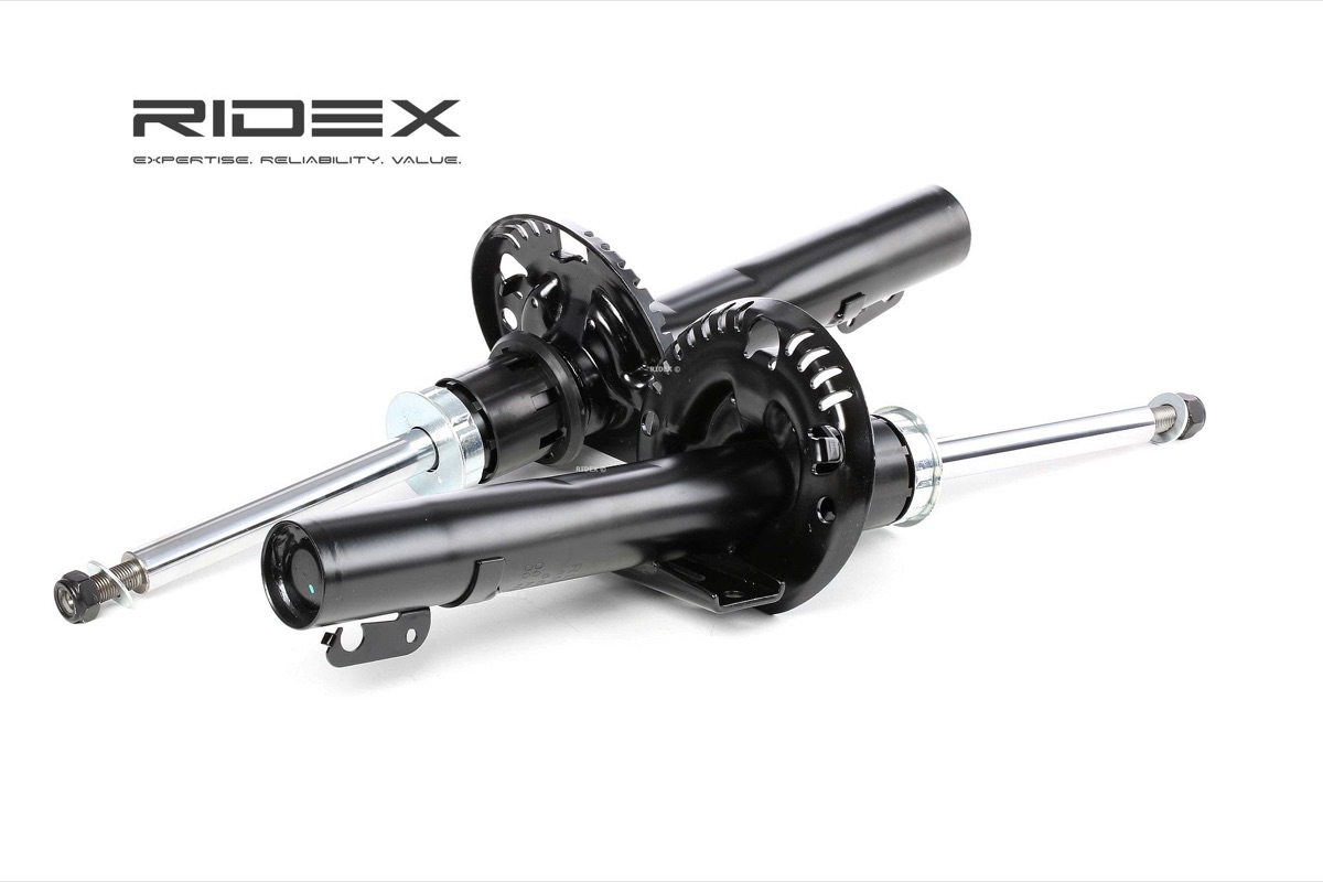 Ridex 854S1248 Shock Absorber