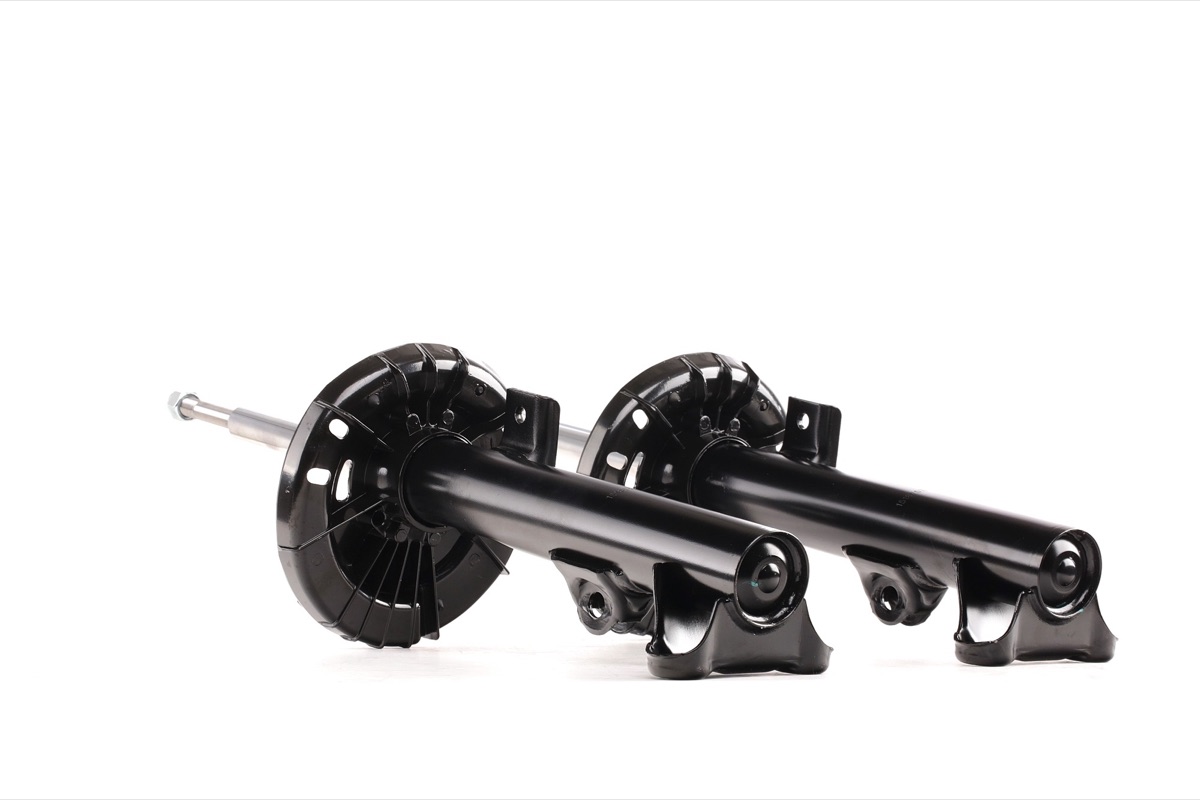 Ridex 854S1534 Shock Absorber