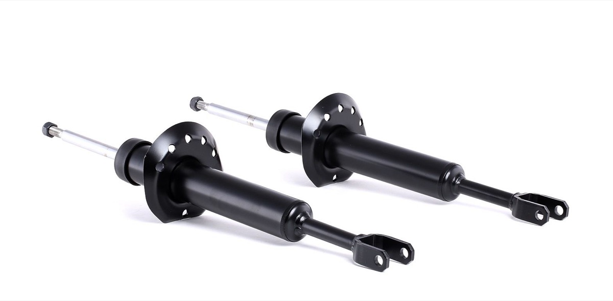 Ridex 854S1569 Shock Absorber