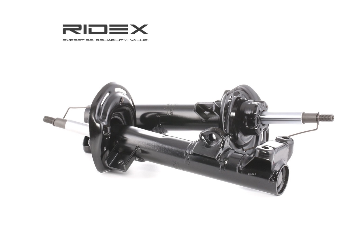 Ridex 854S1602 Shock Absorber