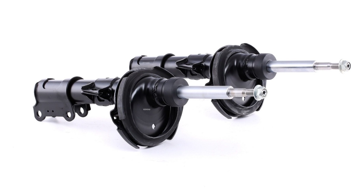 Ridex 854S1603 Shock Absorber