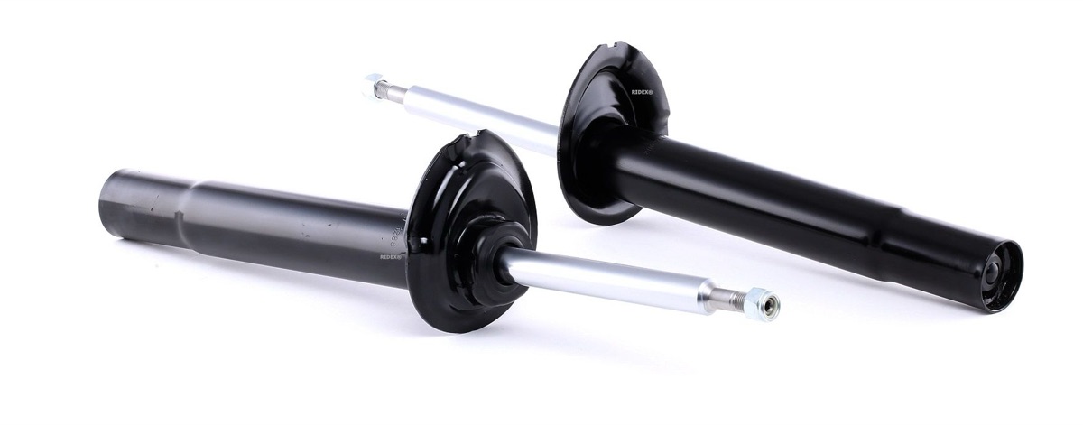 Ridex 854S1604 Shock Absorber