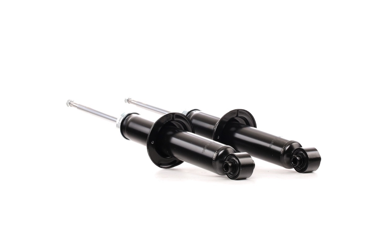 Ridex 854S1641 Shock Absorber