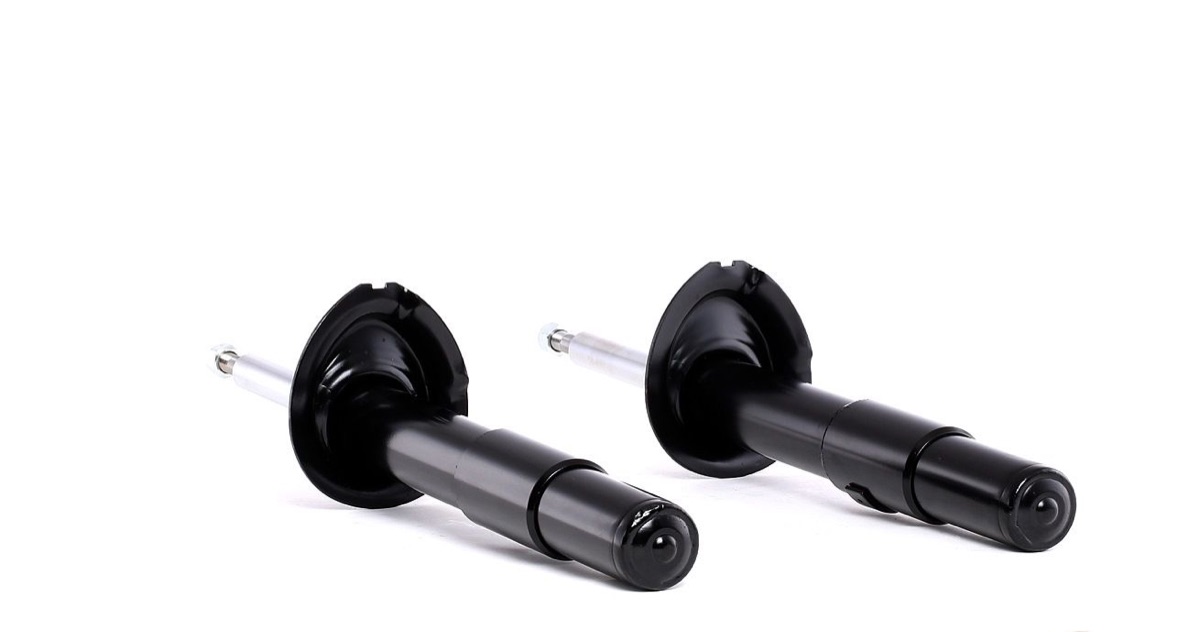 Ridex 854S1660 Shock Absorber