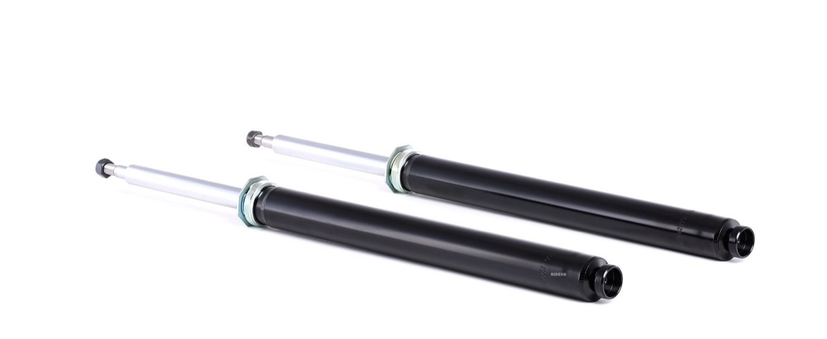 Ridex 854S1672 Shock Absorber