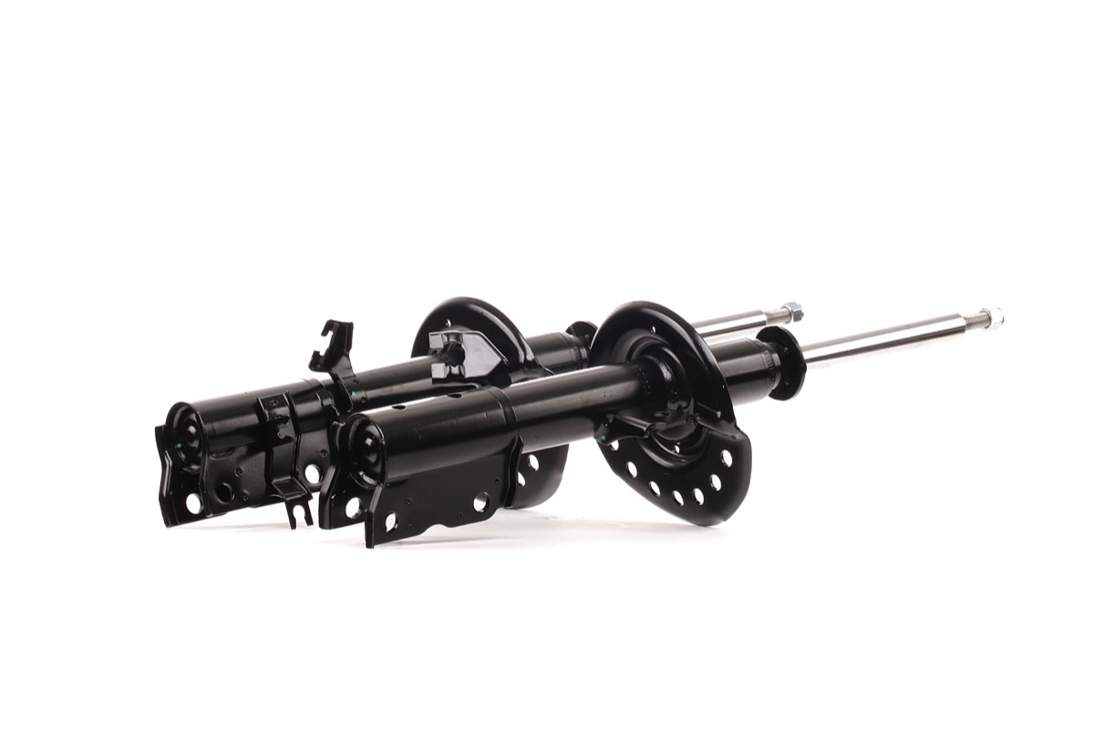 Ridex 854S1683 Shock Absorber