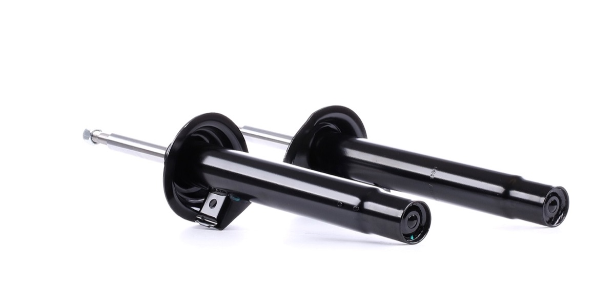 Ridex 854S1693 Shock Absorber