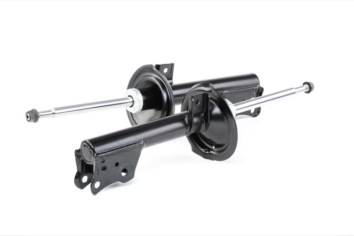 Ridex 854S1702 Shock Absorber