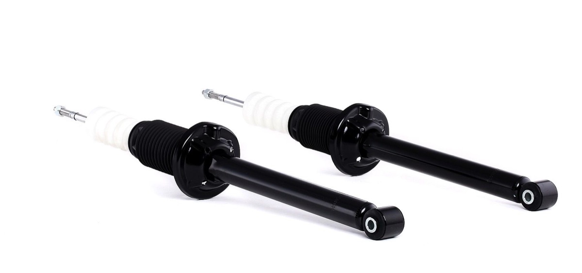 Ridex 854S1753 Shock Absorber