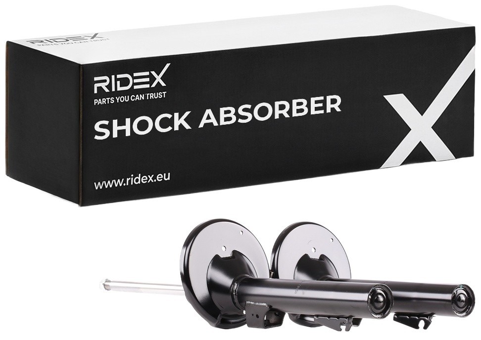 Ridex 854S17840 Shock Absorber