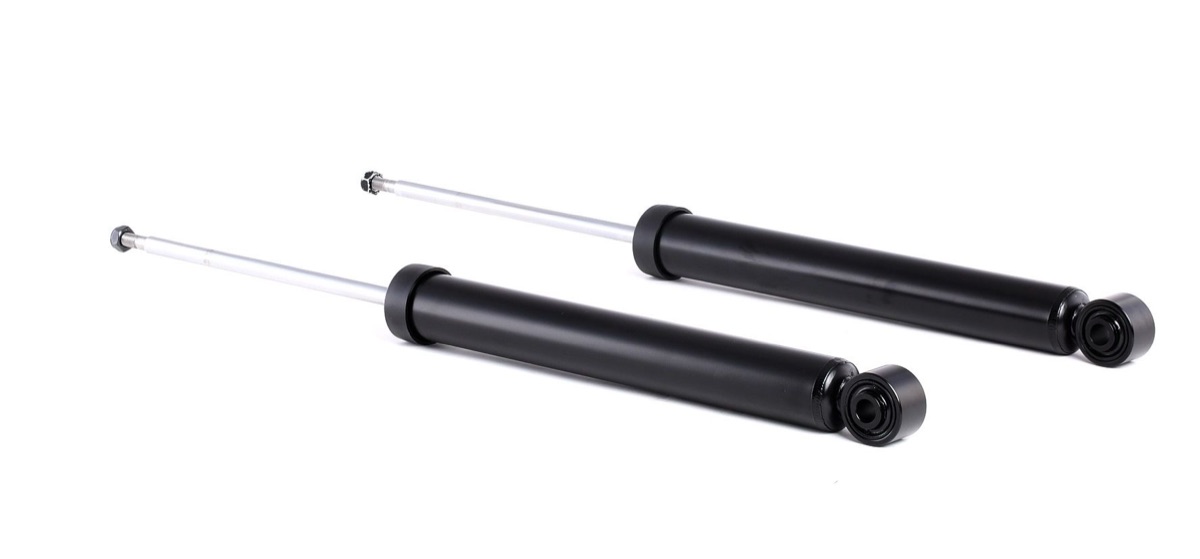 Ridex 854S1791 Shock Absorber